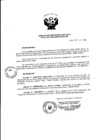 Vista preliminar de documento Resolución de Dirección Ejecutiva