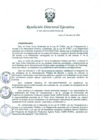 Vista preliminar de documento Resolución de Dirección Ejecutiva