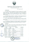 Vista preliminar de documento Resolución de Dirección Ejecutiva