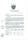 Vista preliminar de documento Resolución de Dirección Ejecutiva