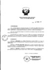 Vista preliminar de documento Resolución de Dirección Ejecutiva