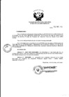 Vista preliminar de documento Resolución de Dirección Ejecutiva