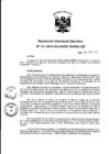 Vista preliminar de documento Resolución de Dirección Ejecutiva