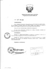 Vista preliminar de documento Resolución de Dirección Ejecutiva