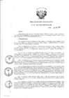 Vista preliminar de documento Resolución de Dirección Ejecutiva