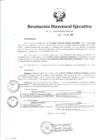 Vista preliminar de documento Resolución de Dirección Ejecutiva