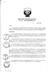Vista preliminar de documento Resolución de Dirección Ejecutiva