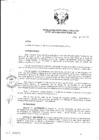 Vista preliminar de documento Resolución de Dirección Ejecutiva