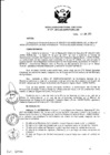 Vista preliminar de documento Resolución de Dirección Ejecutiva