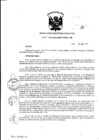 Vista preliminar de documento Resolución de Dirección Ejecutiva