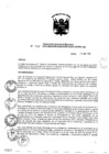 Vista preliminar de documento Resolución de Dirección Ejecutiva