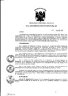 Vista preliminar de documento Resolución de Dirección Ejecutiva