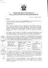 Vista preliminar de documento Resolución de Dirección Ejecutiva