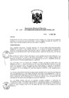 Vista preliminar de documento Resolución de Dirección Ejecutiva