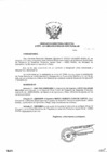Vista preliminar de documento Resolución de Dirección Ejecutiva