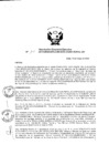 Vista preliminar de documento Resolución de Dirección Ejecutiva