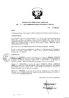 Vista preliminar de documento Resolución de Dirección Ejecutiva