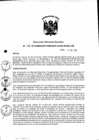 Vista preliminar de documento Resolución de Dirección Ejecutiva