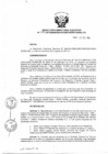 Vista preliminar de documento Resolución de Dirección Ejecutiva