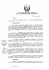 Vista preliminar de documento Resolución de Dirección Ejecutiva