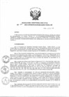 Vista preliminar de documento Resolución de Dirección Ejecutiva