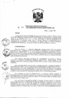 Vista preliminar de documento Resolución de Dirección Ejecutiva