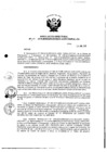 Vista preliminar de documento Resolución Directoral