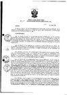 Vista preliminar de documento Resolución Directoral