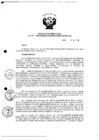 Vista preliminar de documento Resolución Directoral