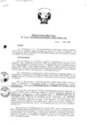 Vista preliminar de documento Resolución Directoral