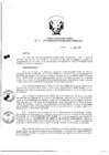 Vista preliminar de documento Resolución Directoral