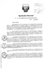 Vista preliminar de documento Resolución Directoral