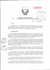 Vista preliminar de documento Resolución Directoral