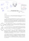 Vista preliminar de documento Resolución Directoral