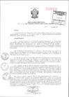 Vista preliminar de documento Resolución Directoral