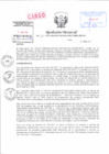 Vista preliminar de documento Resolución Directoral