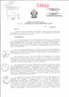 Vista preliminar de documento Resolución Directoral