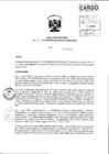 Vista preliminar de documento Resolución Directoral