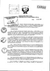 Vista preliminar de documento Resolución Directoral