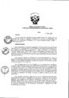 Vista preliminar de documento Resolución Directoral