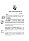 Vista preliminar de documento Resolución Directoral