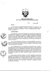 Vista preliminar de documento Resolución Directoral