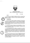 Vista preliminar de documento Resolución Directoral