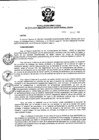 Vista preliminar de documento Resolución Directoral