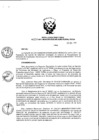 Vista preliminar de documento Resolución Directoral