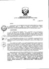Vista preliminar de documento Resolución Directoral