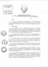 Vista preliminar de documento Resolución Directoral
