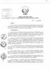 Vista preliminar de documento Resolución Directoral