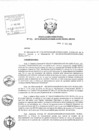 Vista preliminar de documento Resolución Directoral