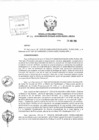 Vista preliminar de documento Resolución Directoral